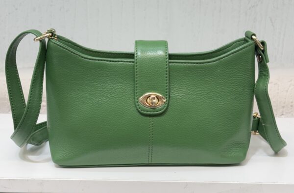 Green leather handbag with a gold turn-lock clasp and strap visible on sides, photographed against a light backdrop.